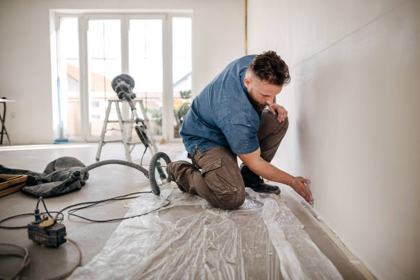 Reliable Sandoval, IL Dry wall and painting Solutions