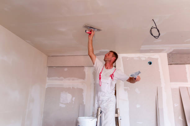 Best Drywall Installation  in Sandoval, IL